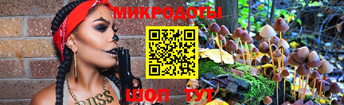 Галлюциногенные грибы Cubensis  Галлюциногенные грибы мухоморы  Вход с VPN  Котовск 